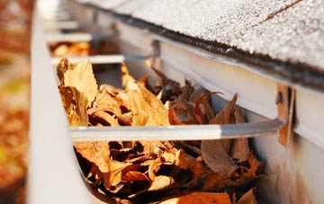 Woodfield gutter cleaning companies